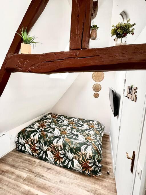 L'akolito Appartement *